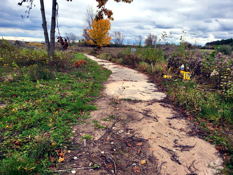 Alices Wonderland - From Joelle Annalee On Facebook (newer photo)